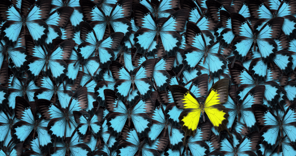 Rare Disease Dilemmas and Solutions