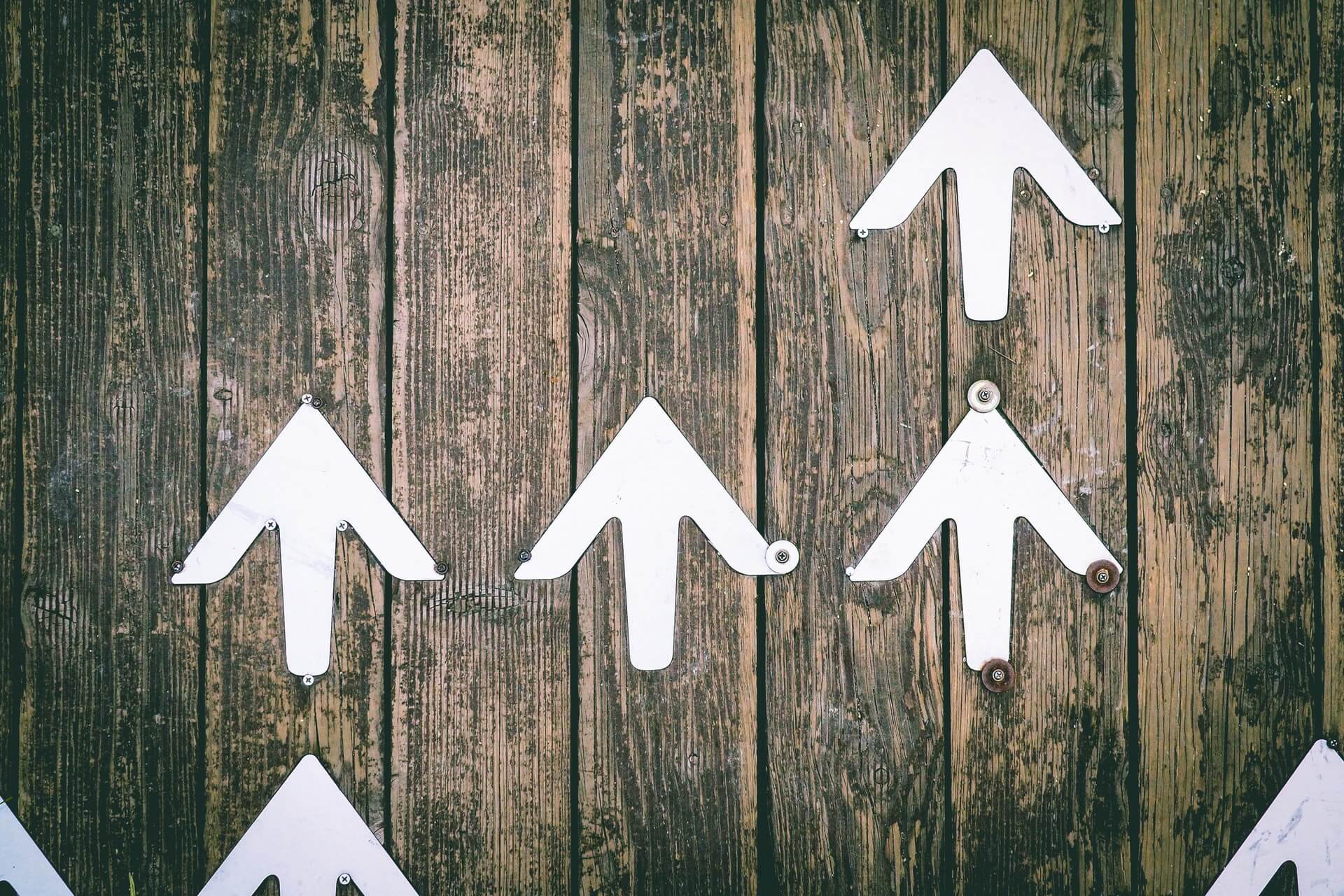 Climedo wird immer besser: Neue Produkt-Features Q2-2021